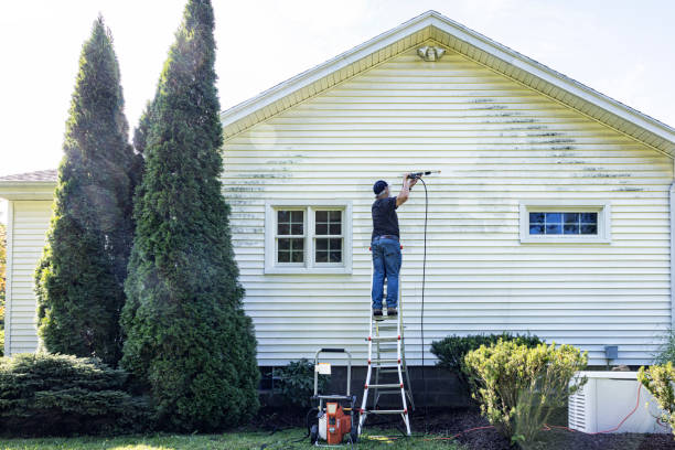 Best Local Pressure Washing Services  in Shenandoah Junction, WV