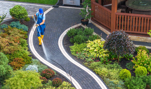 Best Pressure Washing Near Me  in Shenandoah Junction, WV